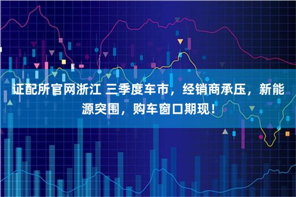 证配所官网浙江 三季度车市，经销商承压，新能源突围，购车窗口期现！