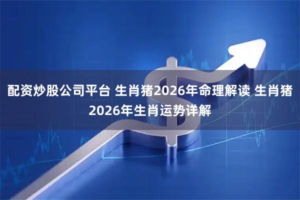 配资炒股公司平台 生肖猪2026年命理解读 生肖猪2026年生肖运势详解