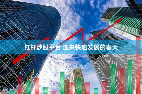 杠杆炒股平台 迎来快速发展的春天